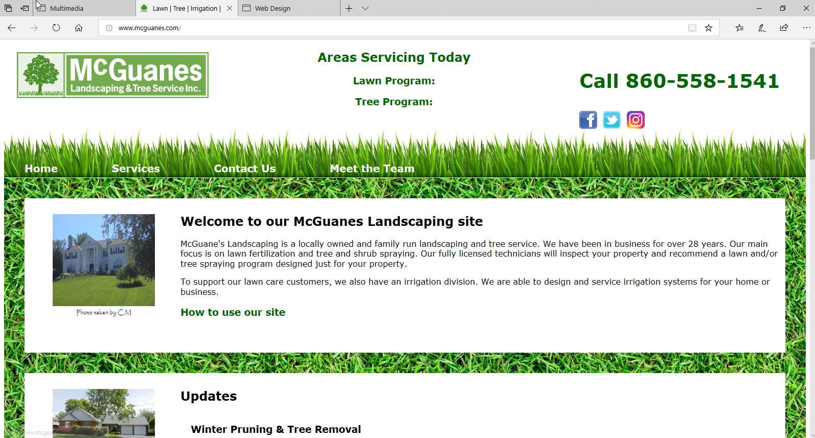 Screenshot of Mcguanes website